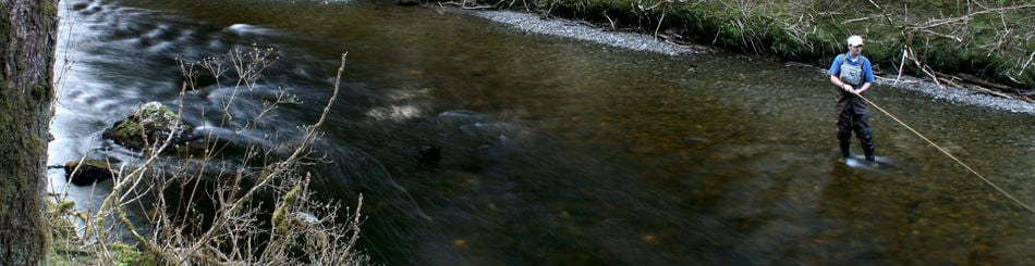 Alaska's Fish Tales Lodge
