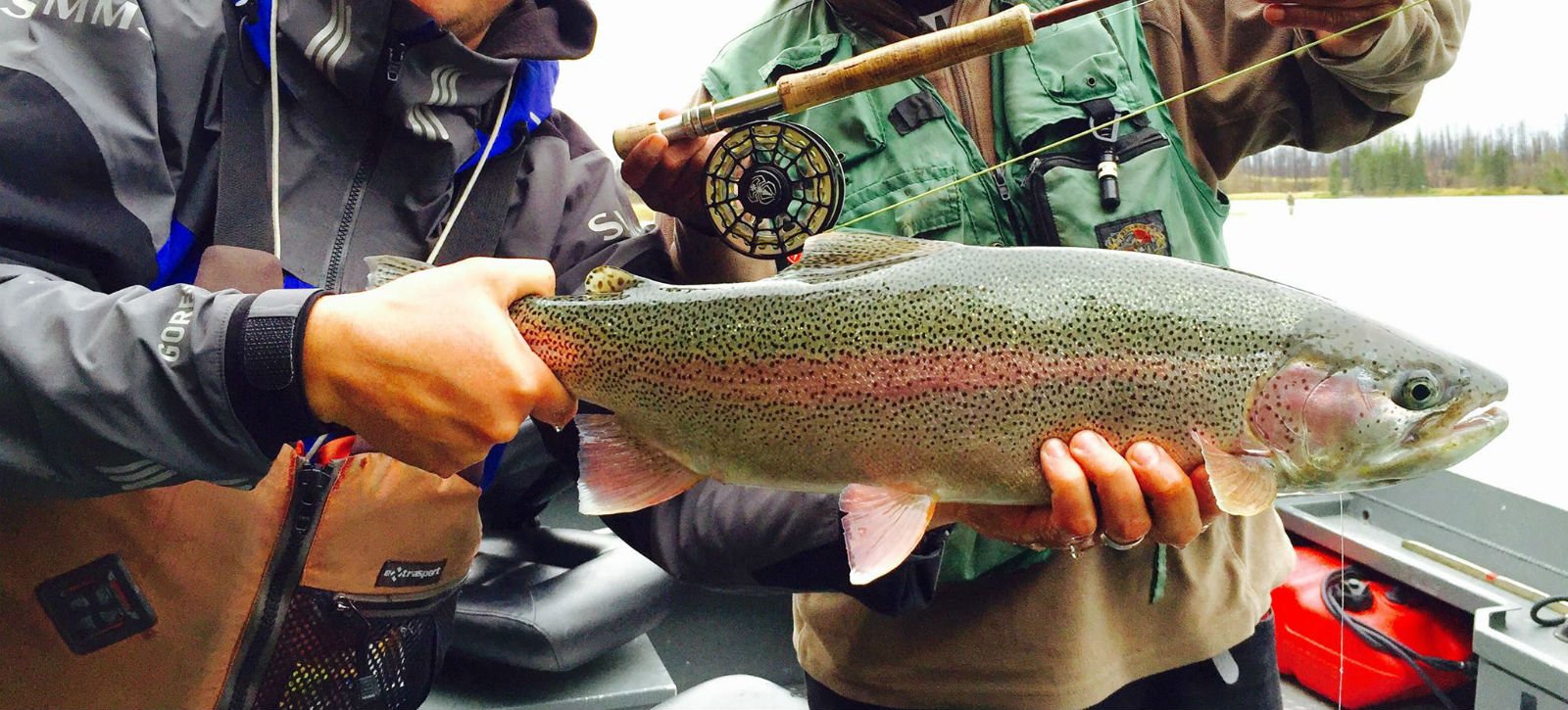 Alaska Trout Guides