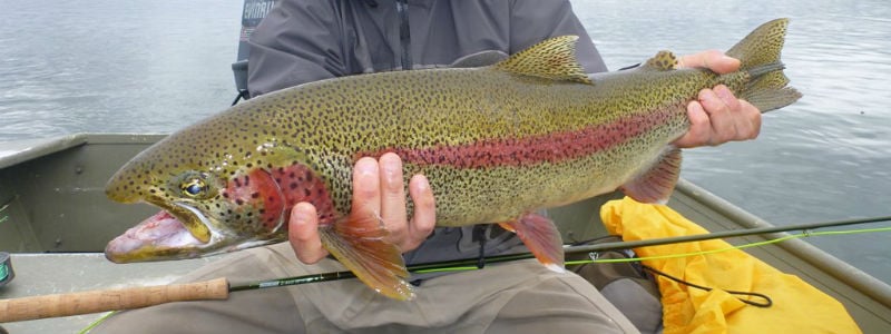 Big Ku Lodge