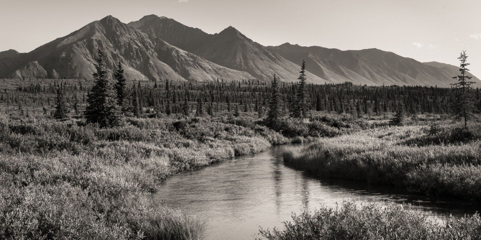 Denali Angler