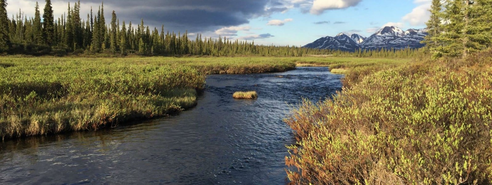 Denali Fly Fishing Guides