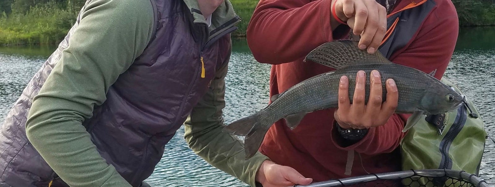 Fish Denali - Alaska Day Fishing Trips