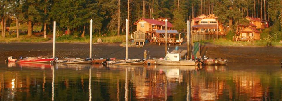 Island Point Lodge