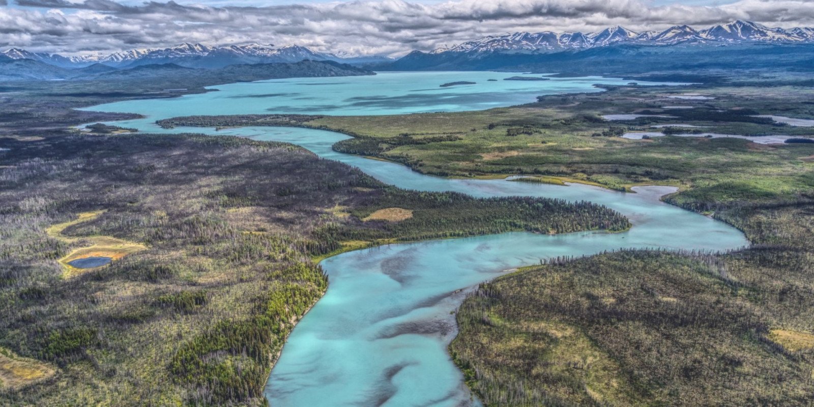 Kenai Drift Anglers