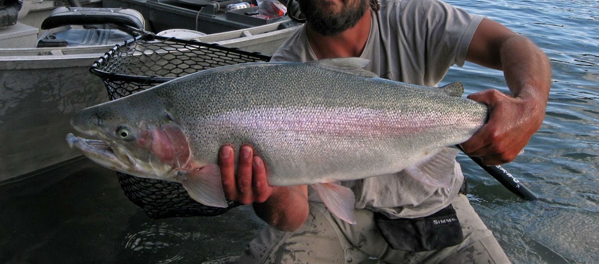 Kenai River Drifters Lodge