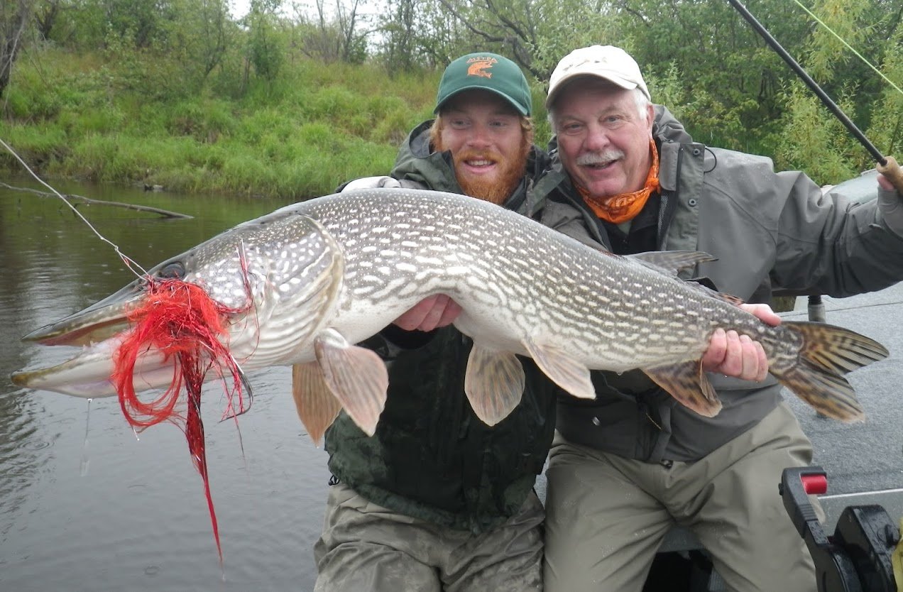 Alaskan Pike Fishing Nirvana on the Innoko River, Holidays