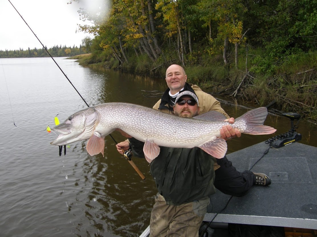 Midnight Sun Trophy Pike Adventures