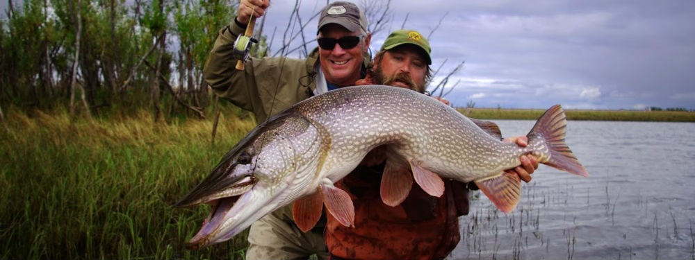 Midnight Sun Trophy Pike Adventures