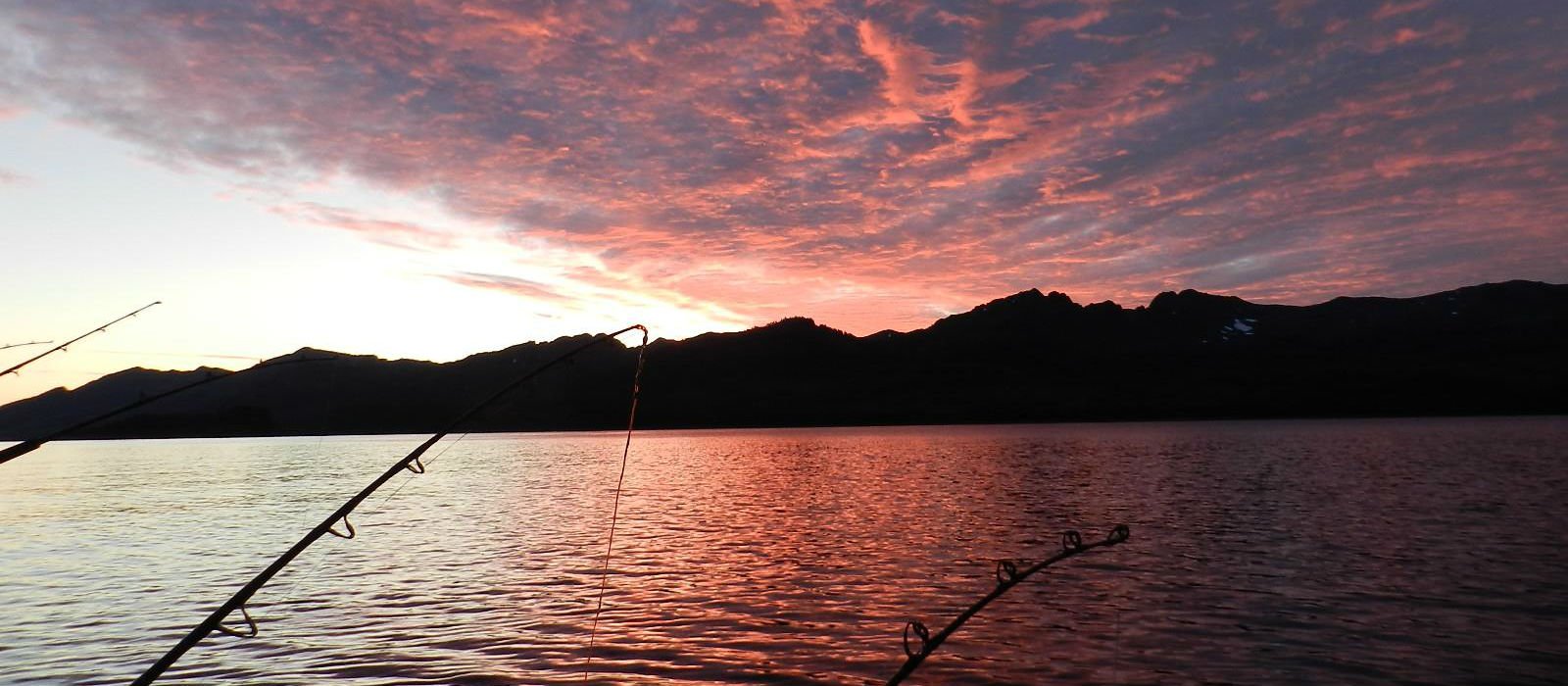 Puffin Fishing Charters