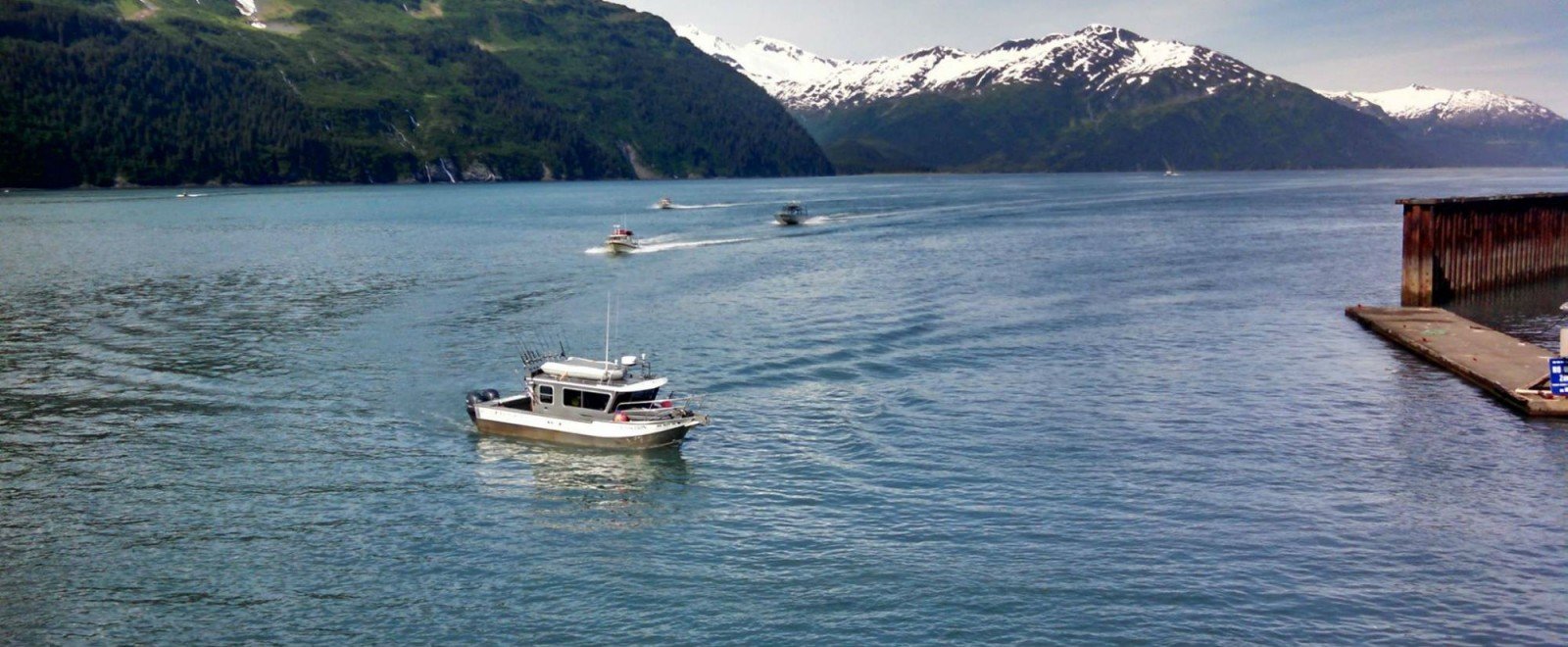 Saltwater Excursions Fishing Charters