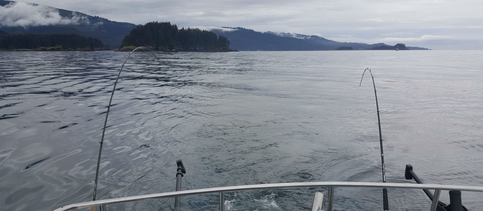 Silver Fox Charters