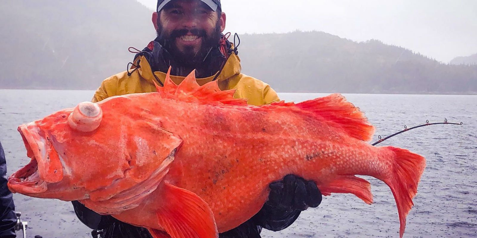 Whittier Marine Charters