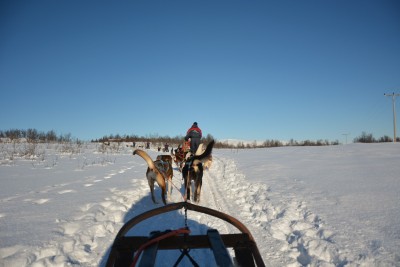 Alaska Adventures