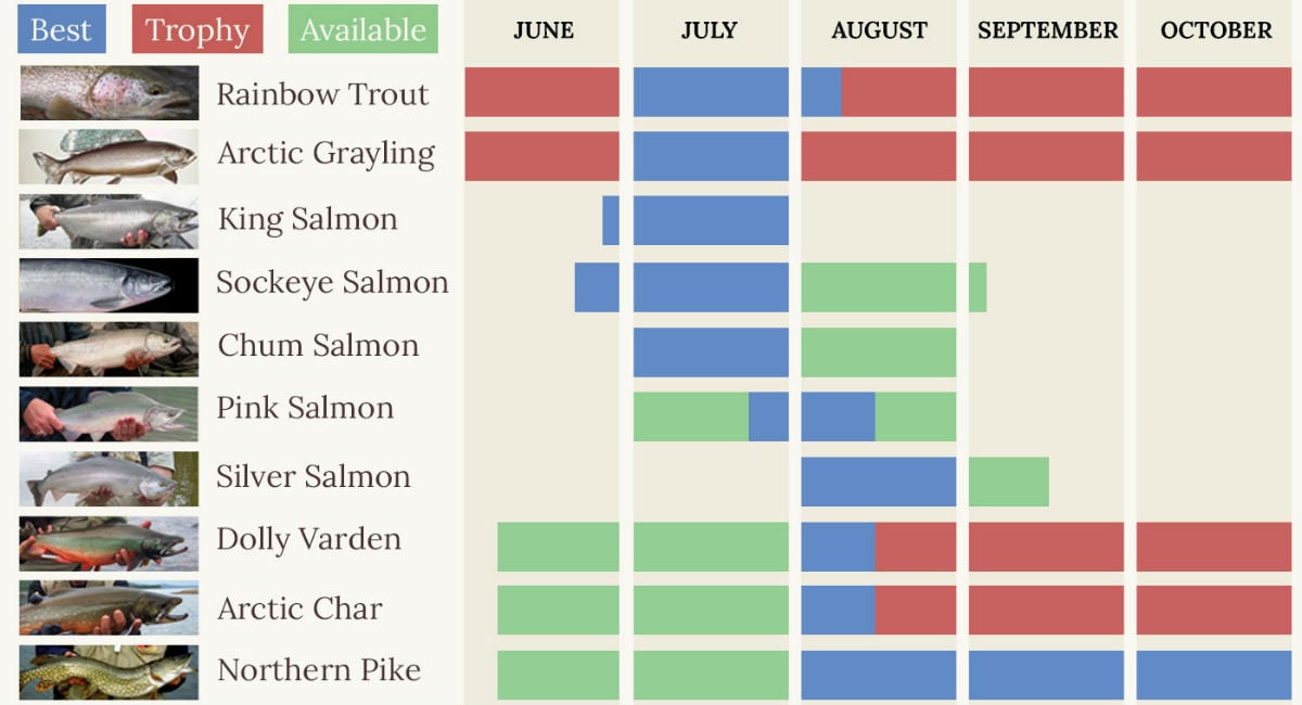 Katmai Lodge Fishing Calendar