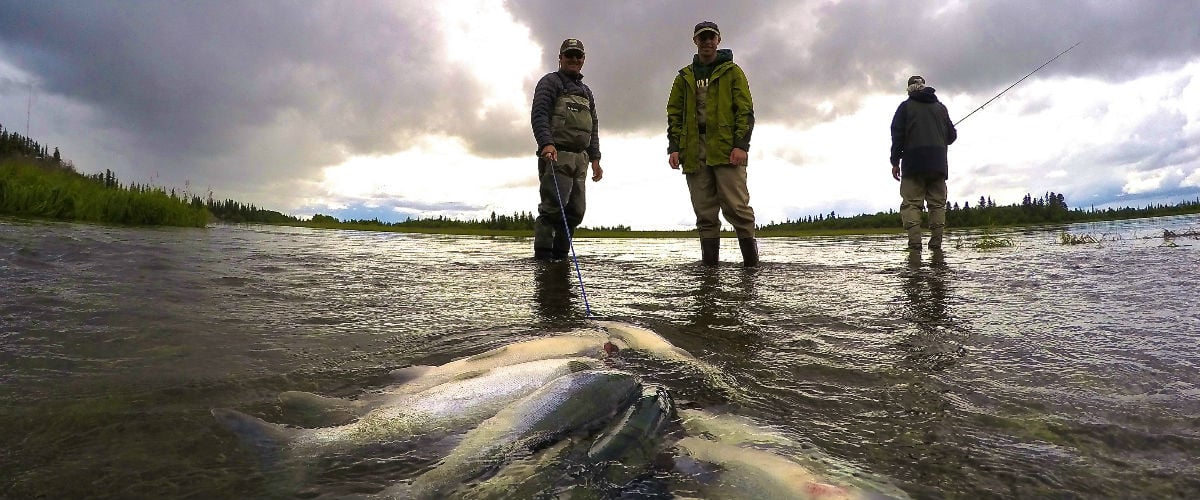 Ask the Pro's: Fly Fishing Trip for King Salmon