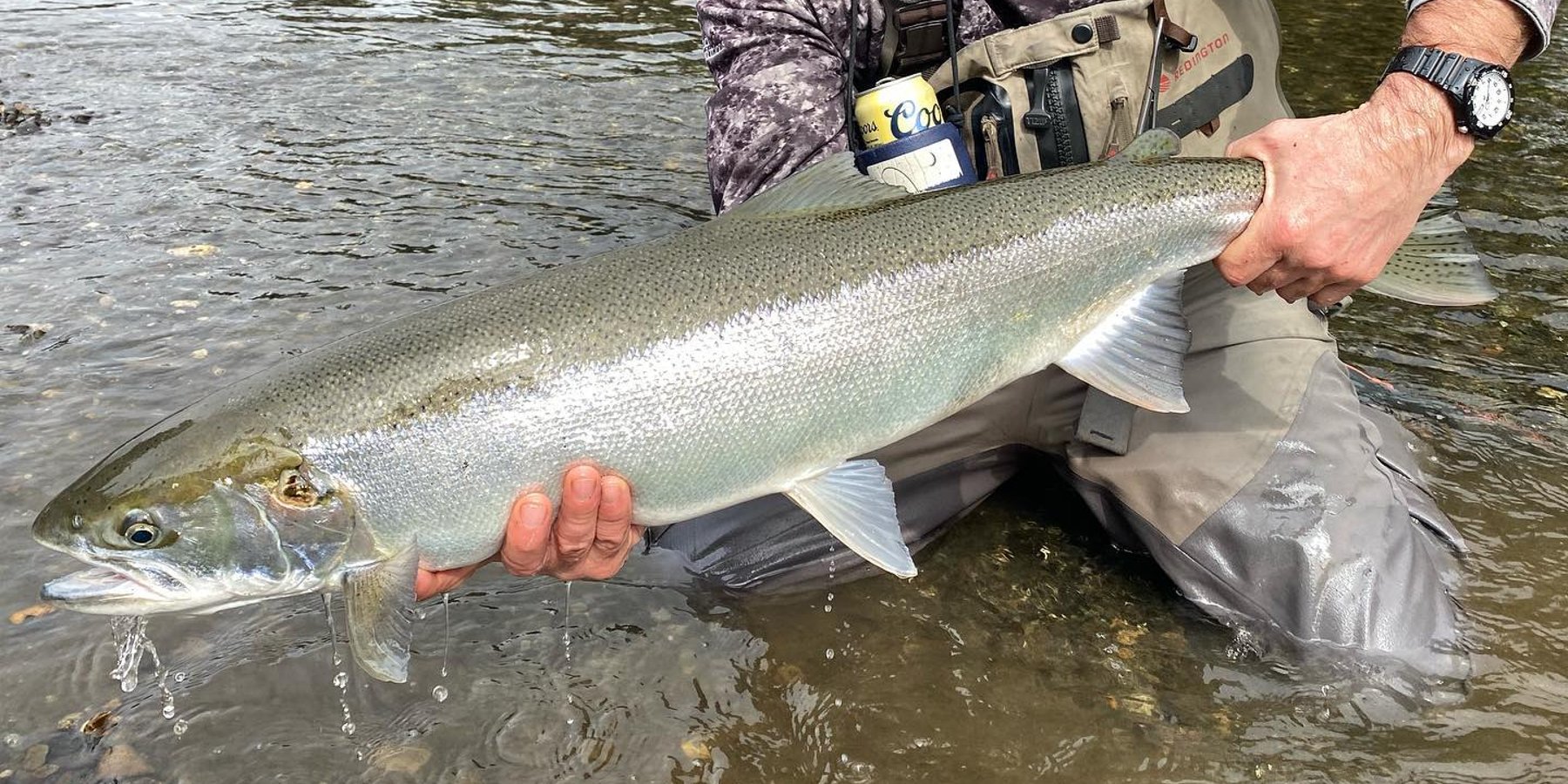 Ask the Pro's: Fishing for Steelhead & Huge Rainbows