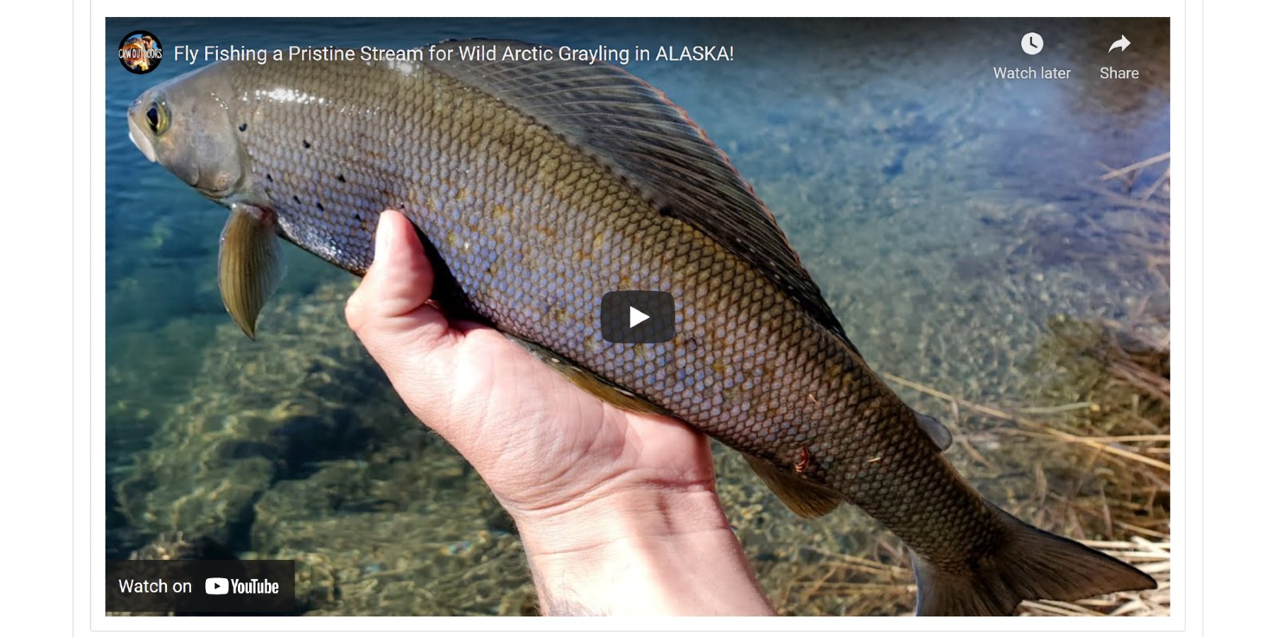 Favorite Alaska Fishing Videos from 2021