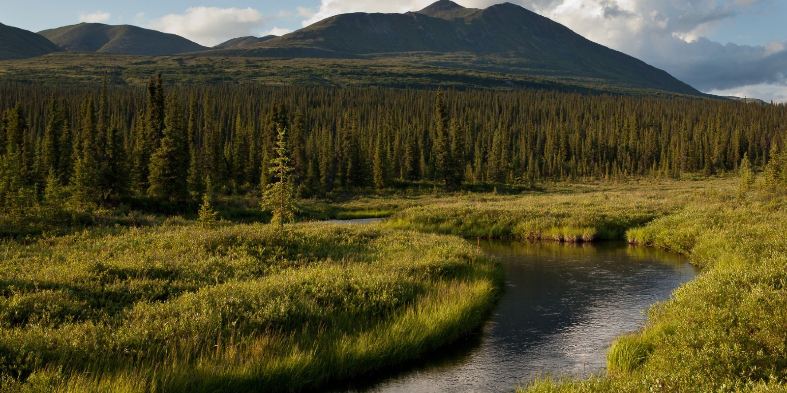 Fly Fishing the Bristol Bay Watershed