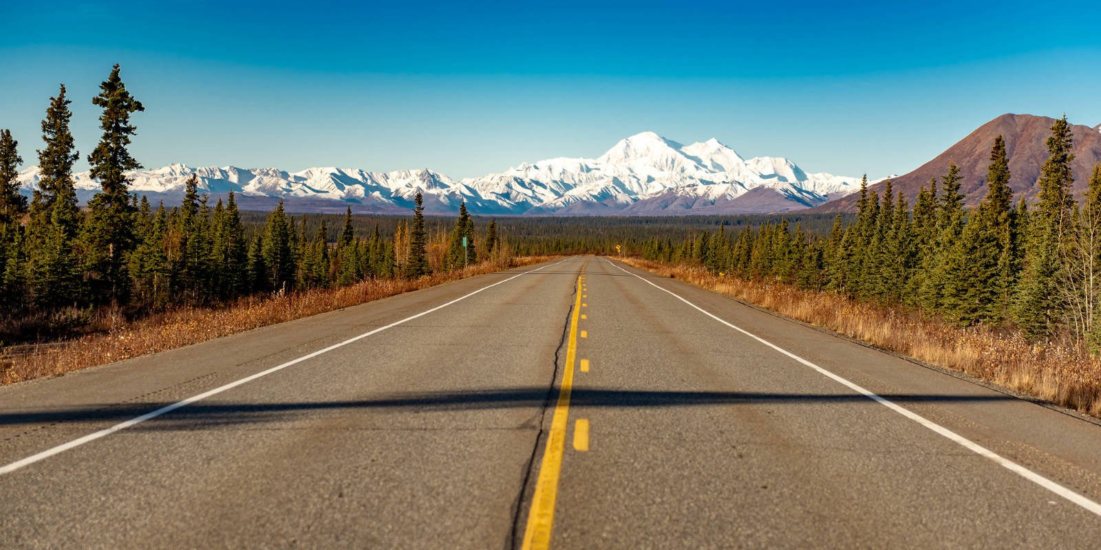 Heading North Along the Alaska Parks Highway