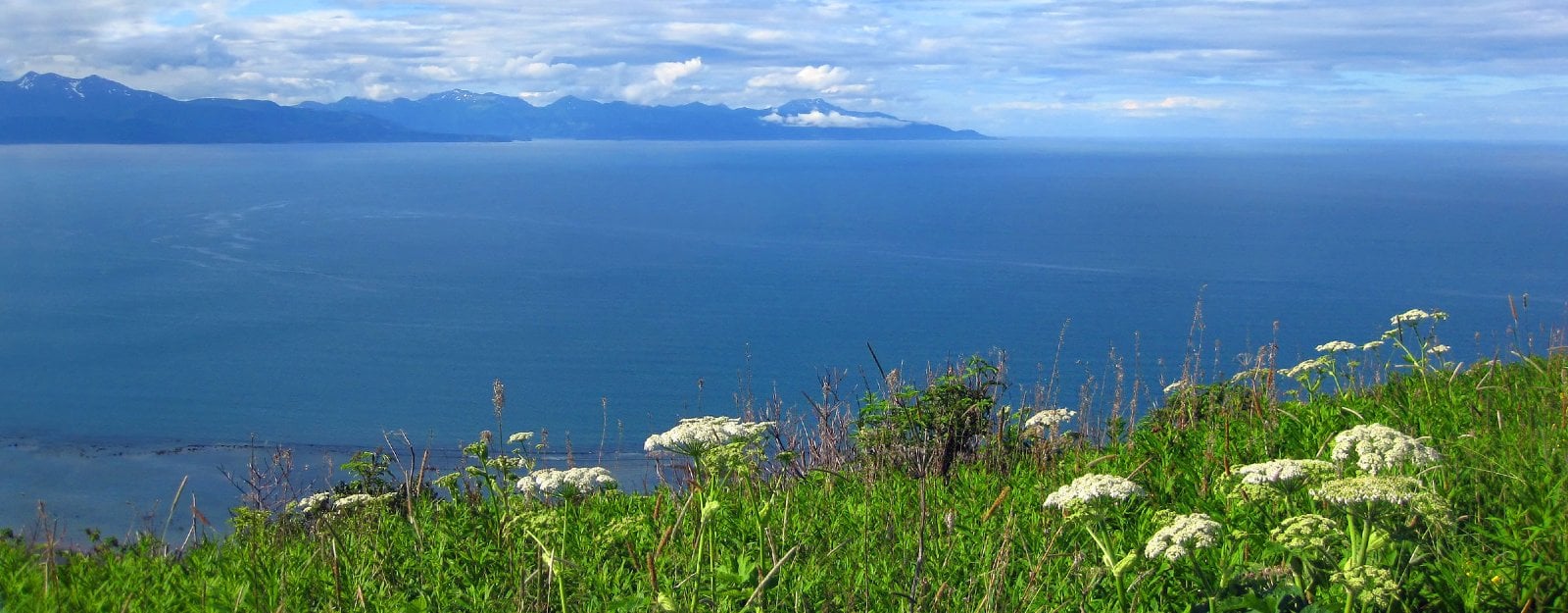 View of the Cook Inlet near Homer, Alaska