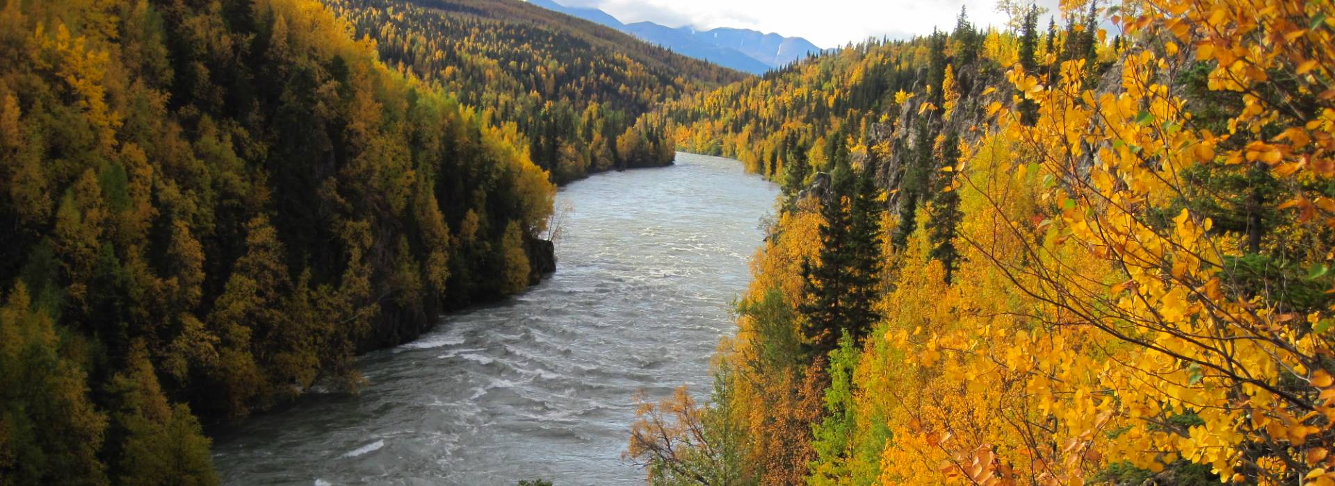The Kenai River Canyon on the Upper Kenai River