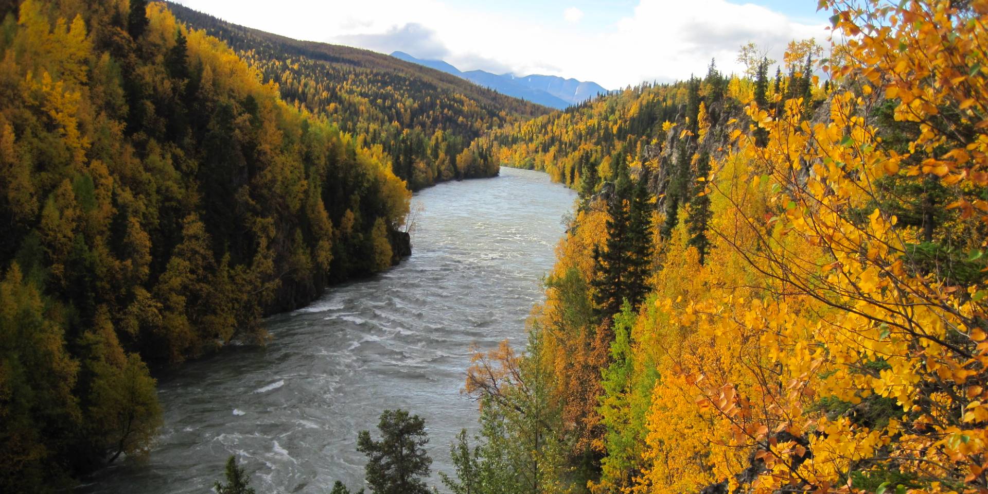 ncl fishing excursions Kenai River