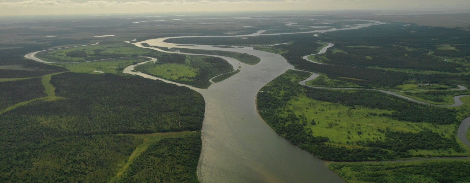 Aerial View of the Nushagak River