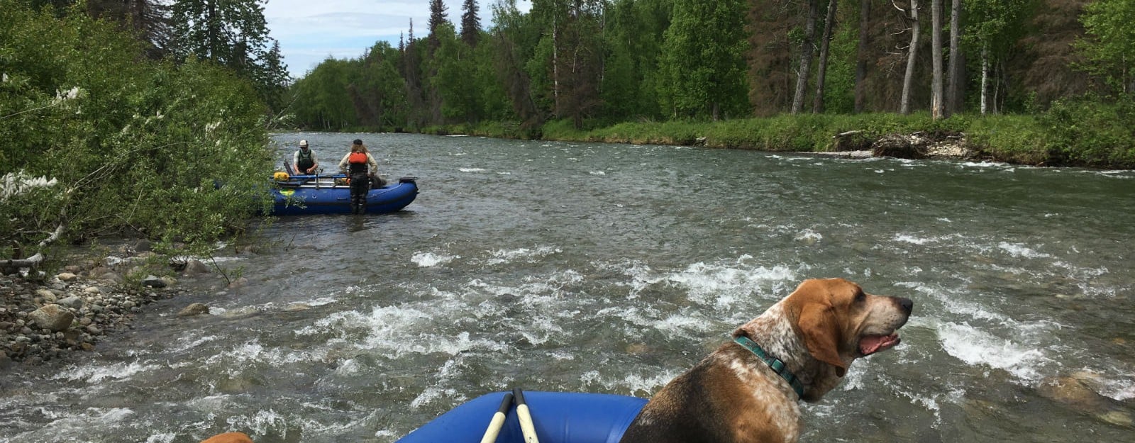 Floating one of the tributaries of the Susitna River