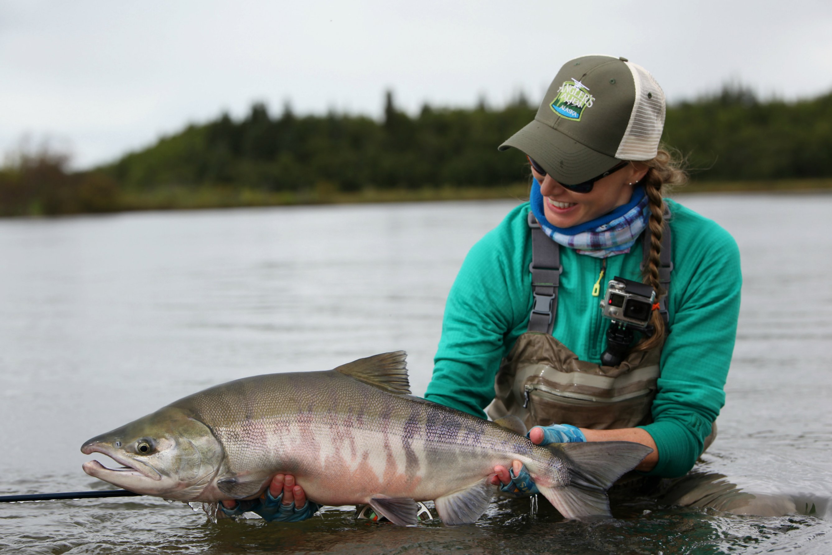 Chum Salmon in Alaska