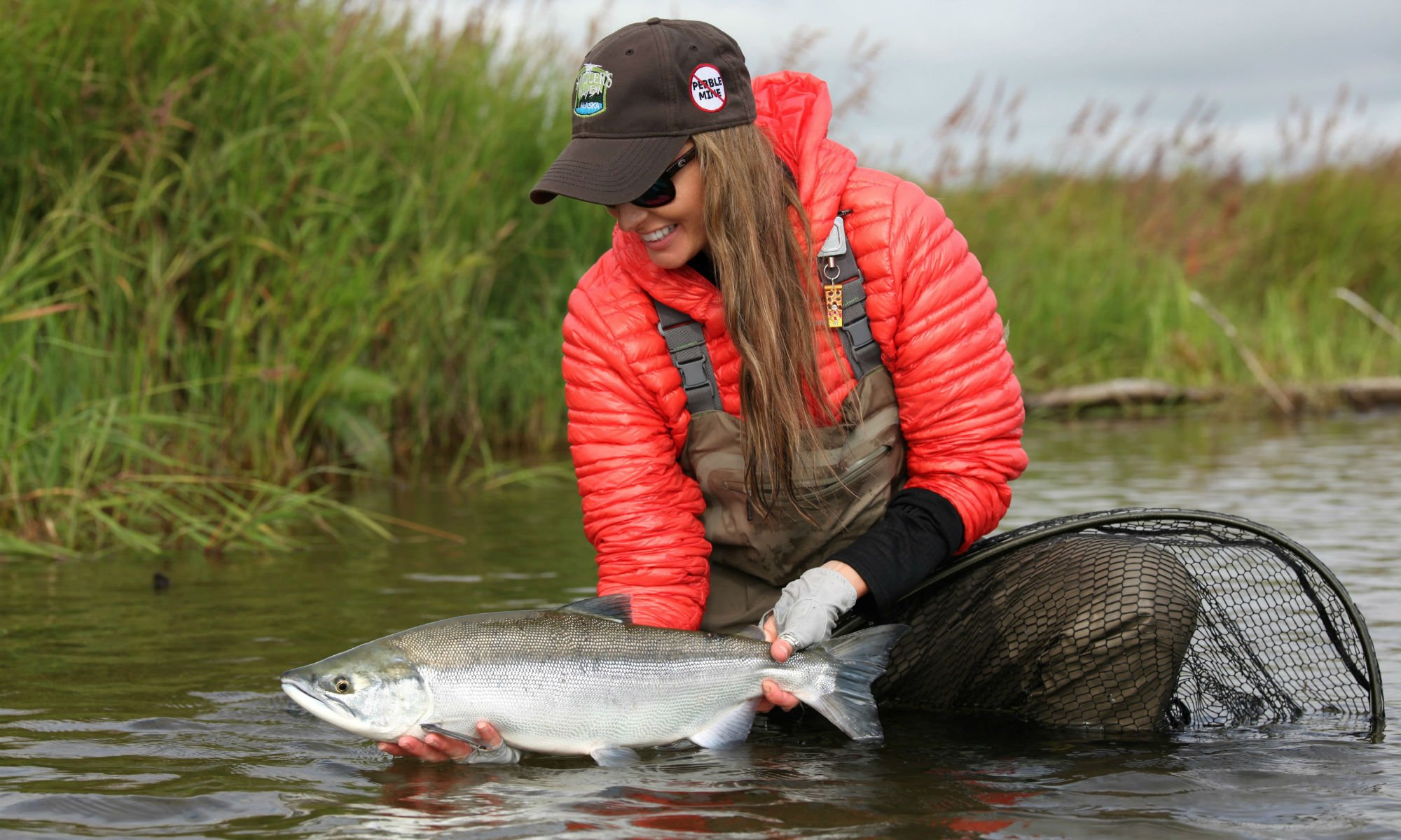 Sockeye Salmon in Alaska