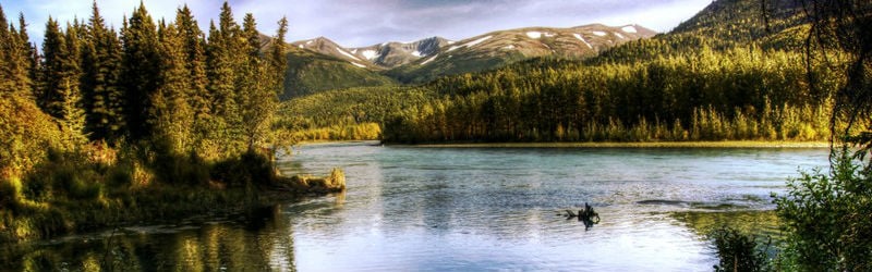 Alaska's Kenai River Alaska's Kenai River
